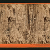 Big Tree - Wm. Cullen Bryant, 305 ft. high, 45 ft. in circumference: near view, Calaveras County.
