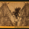 Mother of the Forest ; 305 feet high ; 63 feet circumference - near view, Calaveras County.