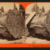 Section of the Original Big Tree - near view, Mammoth Grove, Calaveras County.