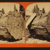 Section of the Original Big Tree - near view, Mammoth Grove, Calaveras County.