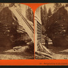 But-end section of the Original Big Tree - near view, showing the auger-holes made in felling.