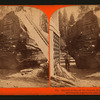 But-end section of the Original Big Tree - near view, showing the auger-holes made in felling.