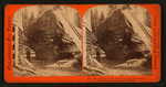 But-end section of the Original Big Tree - near view, showing the auger-holes made in felling.