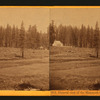 General view of the Mammoth Grove and Hotel, Calaveras County.