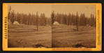 General view of the Mammoth Grove and Hotel, Calaveras County.