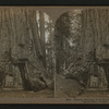 Wawona, Mariposa Grove big trees, California.