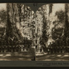 Grisley Giant, the largest living tree in the world, Mariposa Grove, Cal.