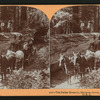 The Fallen Monarch, Mariposa Grove, Yosemite Valley, Cal., U. S. A..