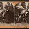 A section of one of the big trees, Calaveras Grove, Cal., U. S. A..