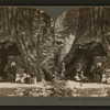 Pioneer's Cabin, Calaveras Grove, Cal., U. S. A..