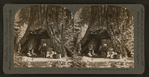 Pioneer's Cabin, Calaveras Grove, Cal., U. S. A..