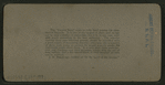 The "Empire State," (34 feet in diameter), Calaveras Grove, Cal., U. S. A..