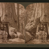Wawona, as we drove through it, Mariposa Grove, California.