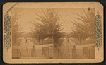 The plaza at Sacramento.