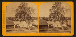 The river and steamers at Sacramento City.