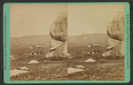 Cajun Valley. View of horse riders.