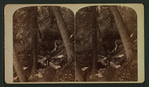 Scene near Soda Springs Shasta route, S. P. R. R. Cal.