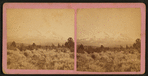 Mt. Shasta, Siskiyou Co.,Cal.
