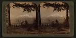 Looking thro' summer-clad boughs to grand snow-capped Mount Shasta (14,442 ft.), Cal.