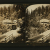 Southern Pacific at Shasta Springs, Valley of the Sacramento, California, U.S.A.