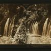 The charming Mossbrae Falls near Shasta Springs, northern California, U. S. A..