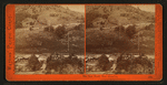 The New Road, New Almaden.