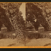 Belmont - The residence of Wm. C. Ralston.