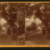 Belmont - The Residence of Wm. C. Ralston.