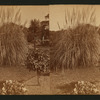 Residence of Wm. C. Ralston, Belmont Cal.