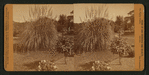 Residence of Wm. C. Ralston, Belmont Cal.
