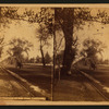 The Alameda at San Jose, California.