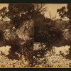 San Jose, California. [View of a Creek].