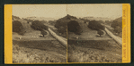 San Jose, California.  [View of hills with trees and road.]