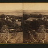 San Jose, California. [View of trees and building.]