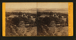 San Jose, California. [View of trees and building.]