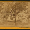 White Sulphur Springs, Napa Co. Cal.