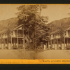 White Sulphur Springs, Napa Co. Cal.