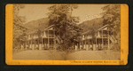 White Sulphur Springs, Napa Co. Cal.