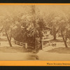 White Sulphur Springs, Napa Co. Cal.