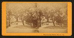 White Sulphur Springs, Napa Co. Cal.
