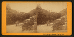 White Sulphur Springs, Napa Co. Cal.