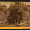 [The Vandewater Cottage, from the Bridge.]