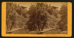 [The Vandewater Cottage, from the Bridge.]
