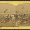 View in Sonoma Co., California.