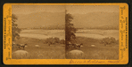 Studdard's Residence, Montecito.