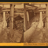 Placer Mining - Columbia, Tuolumne Co., interior of the dump-box.