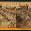 Placer Mining - Columbia, Tuolumne Co., Mining out a ranch.