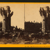 Big Oak, circum. 36 ft. at Big Oak Flat, - Tuolumne Co.