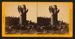 Big Oak, circum. 36 ft. at Big Oak Flat, - Tuolumne Co.