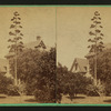 Century plant.